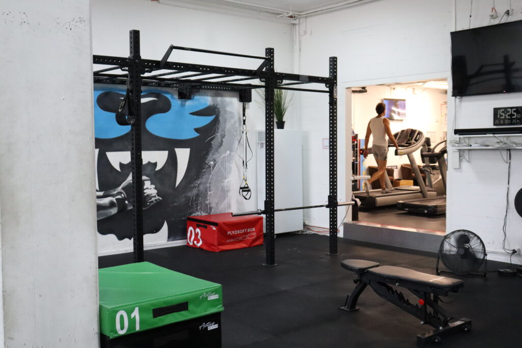 CrossFit & Ausdauer mit tollen Geräten und grossen Bereichen im Lionsoul Fitness in Zürich